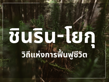 อาบป่า ชินริน-โยกุ วิถีแห่งการฟื้นฟูชีวิต
