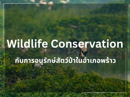 Wildlife Conservation Travel